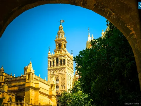 Seville Cathedral and Giralda Tower on the Alcázar combo tour