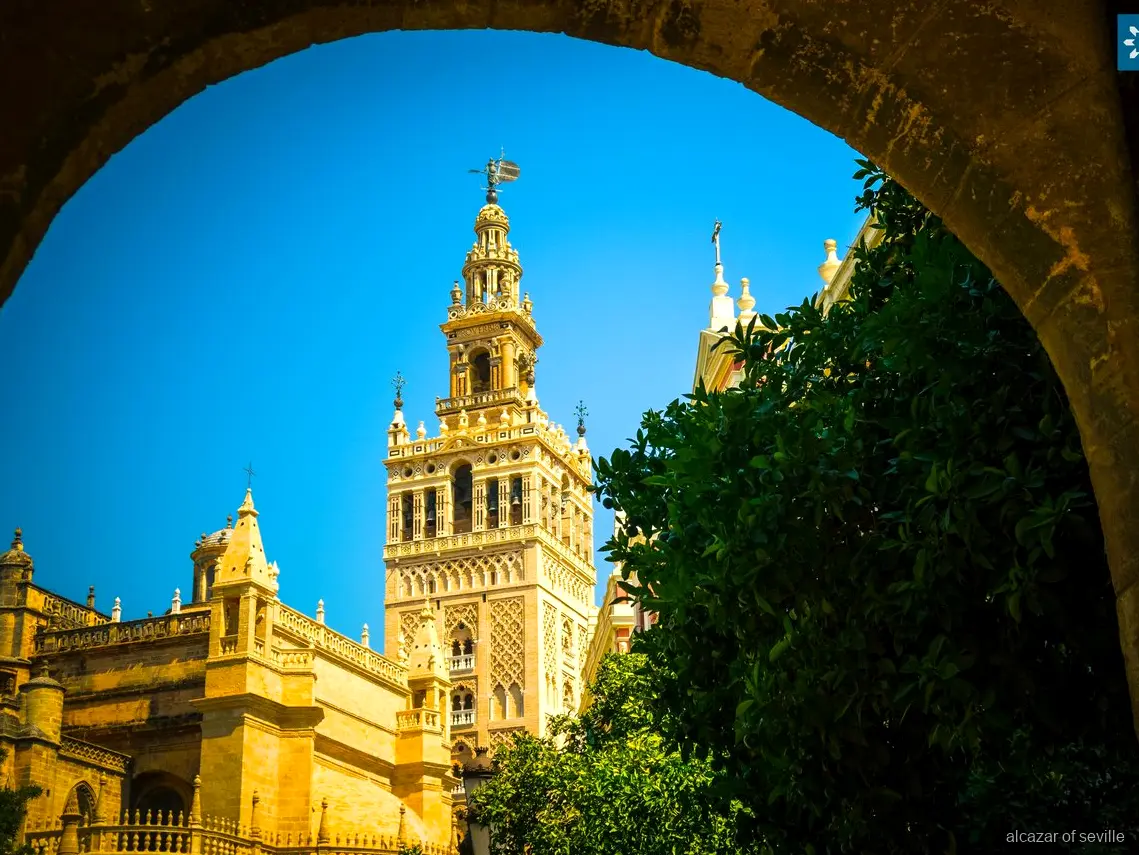 Seville Cathedral and Giralda Tower on the Alcázar combo tour