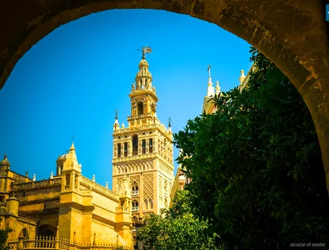 Katedra w Sewilli i wieża Giralda na wycieczce łączonej z Alkazarem