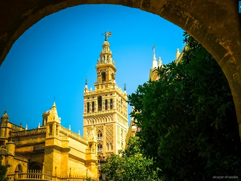 Alcazar kombinasyon turunda Sevilla Katedrali ve Giralda Kulesi