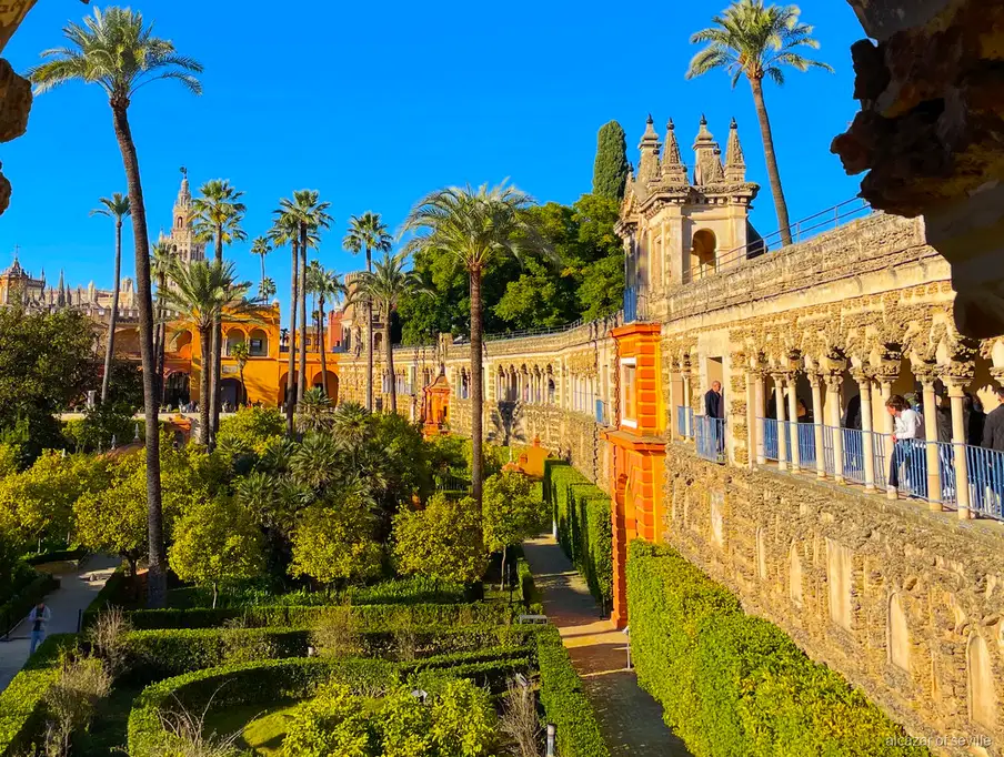 Tour sin colas del Alcázar, la Catedral y la Giralda, casco histórico de Sevilla